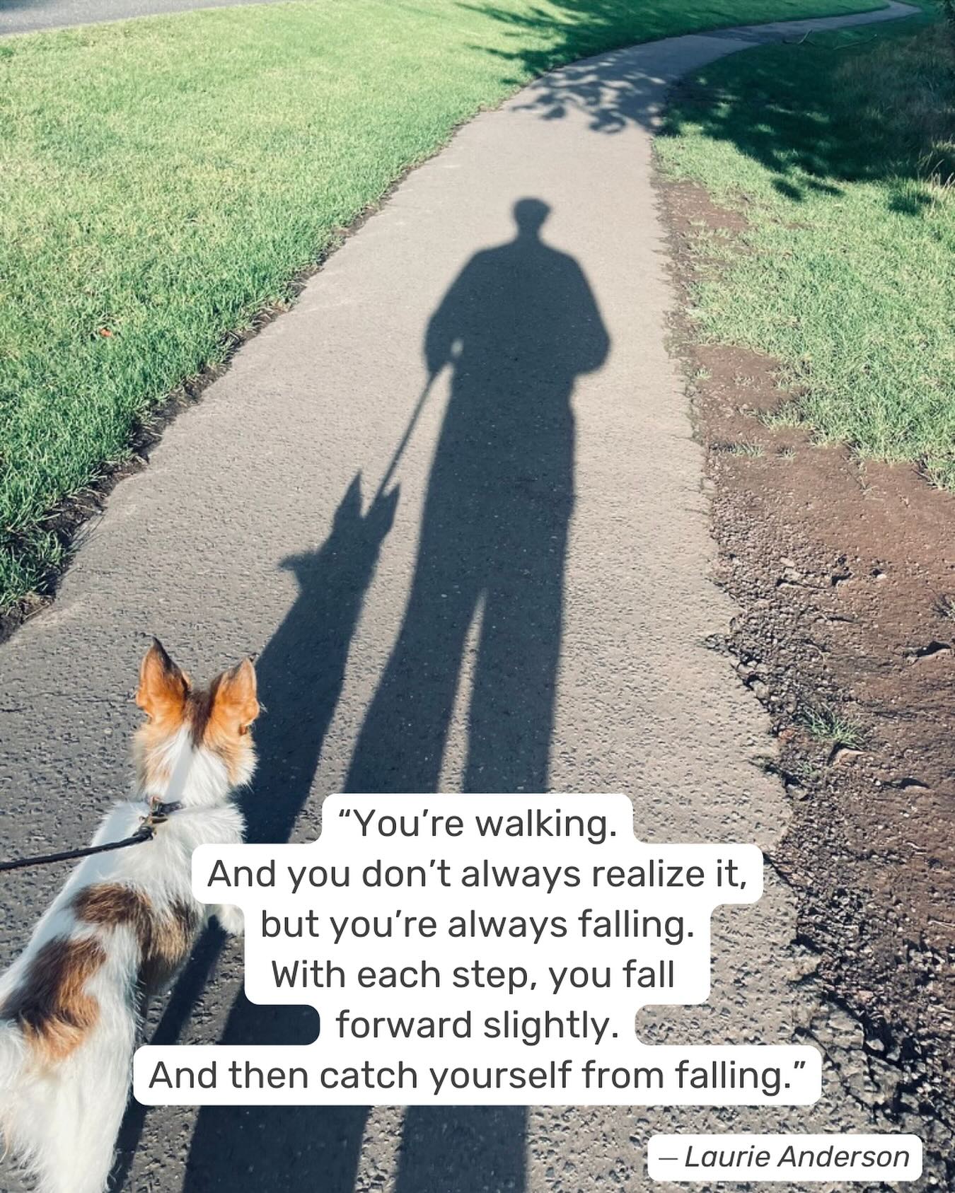 Keep catching yourself. You’ve got this.

#selfcompassion
#compassionbreaks(withDora)