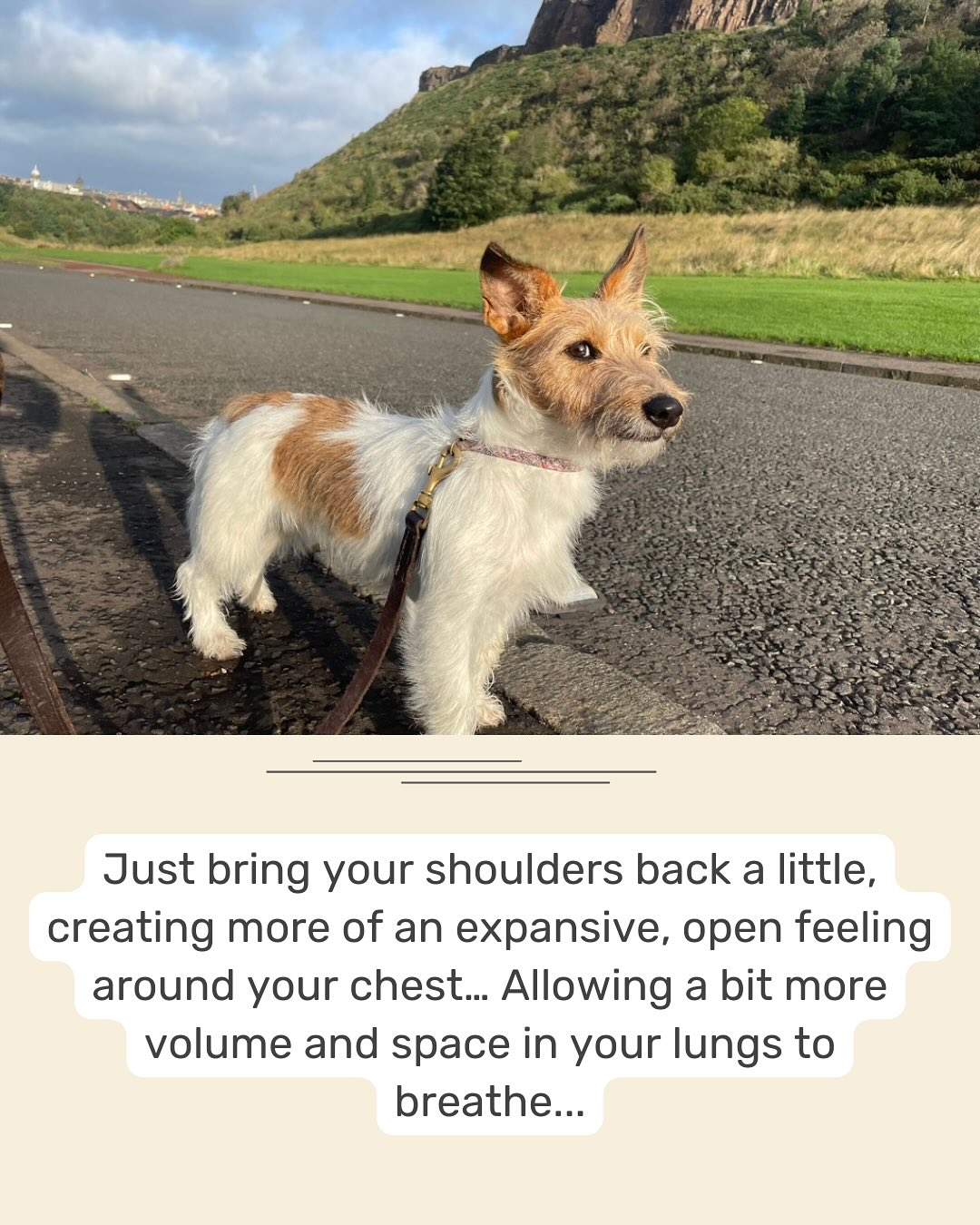 Using your body to support your mind.

#selfcompassion 
#compassionbreaks(withDora)