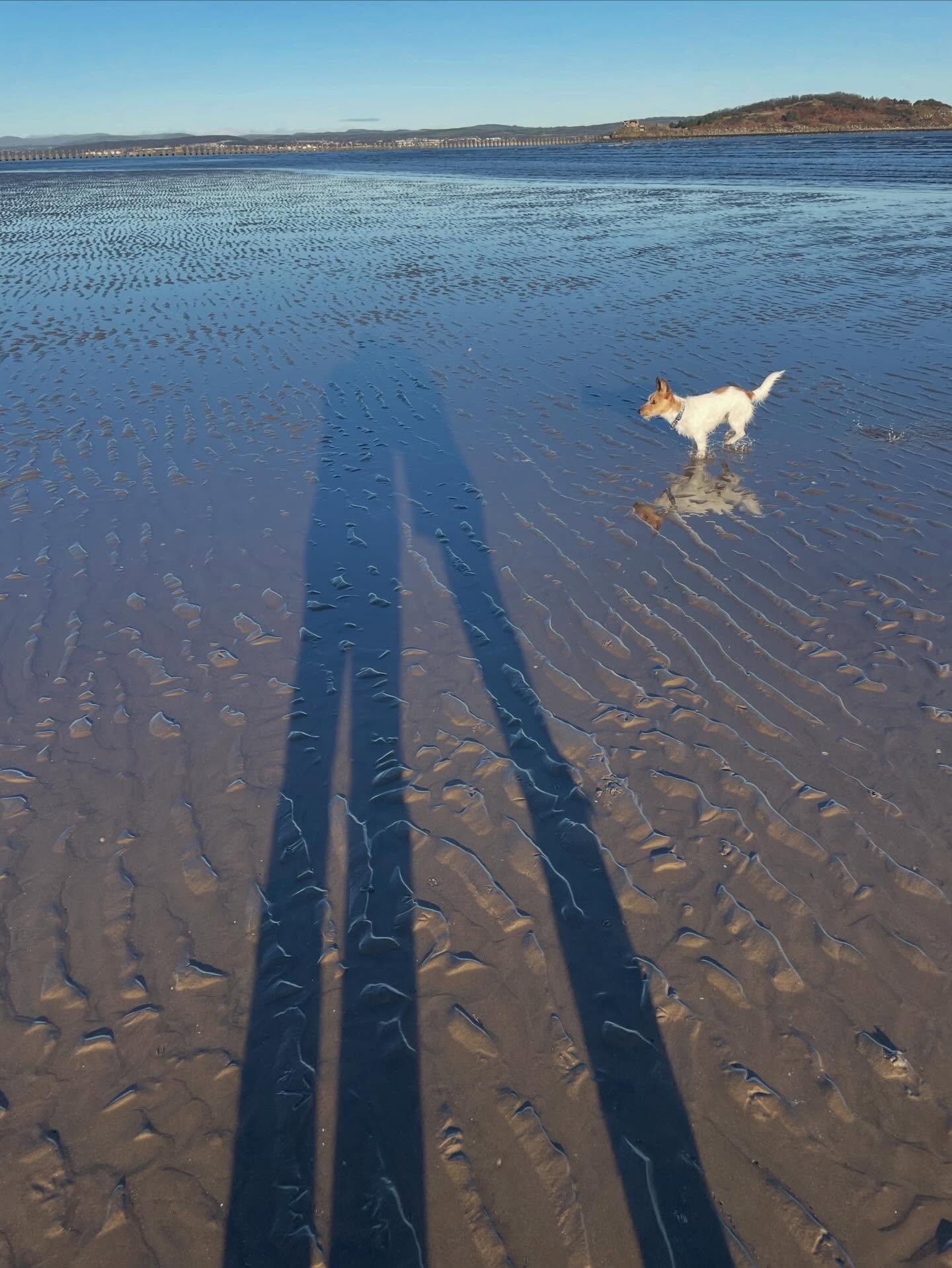 A small compassion break.

#selfcompassion 
#compassionbreaks(withDora)