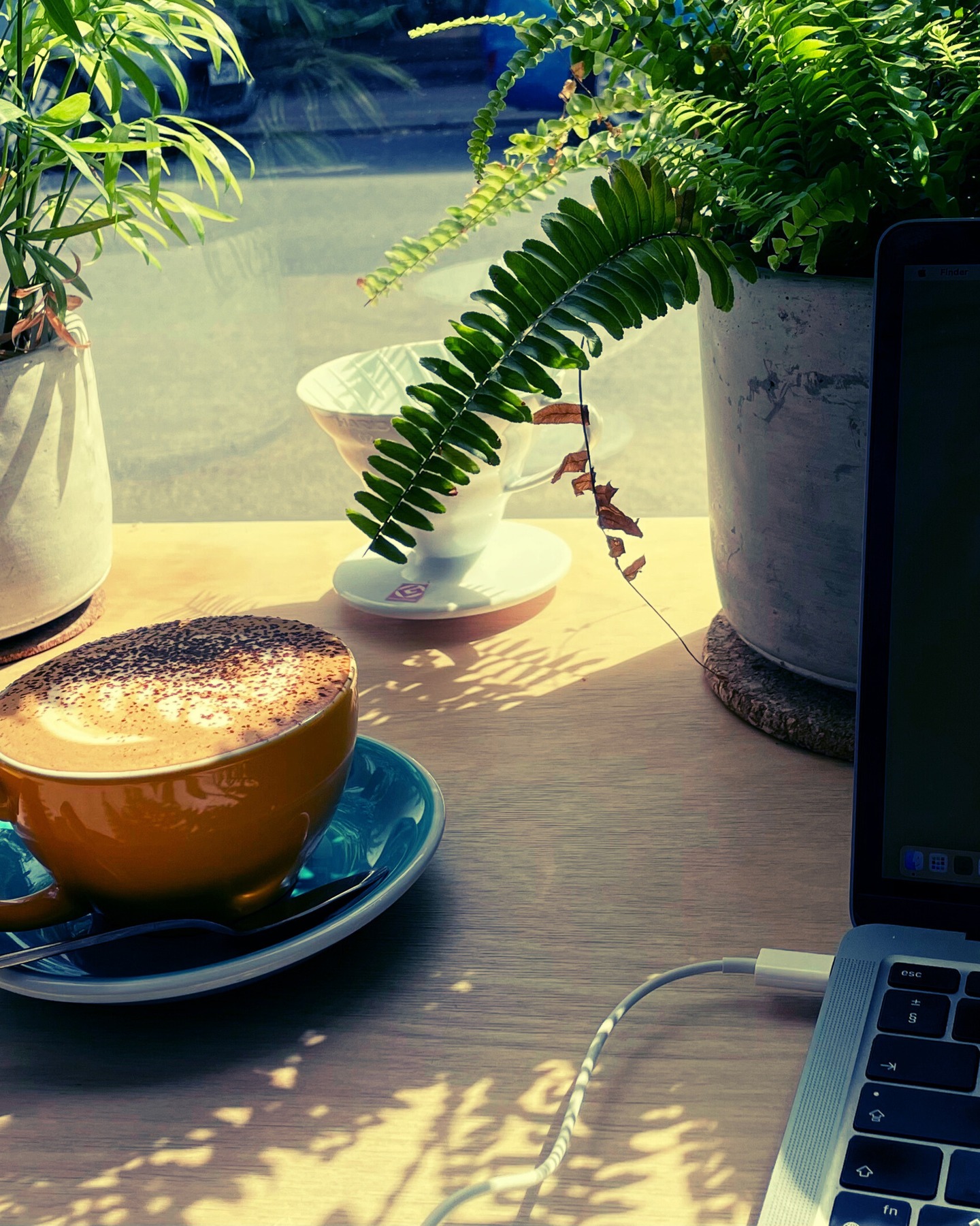 Over the past few weeks, I’ve been sharing ideas about self-sabotage, not as something to get rid of, but as something that often begins as protection.

Once we understand what a protective pattern is trying to do for us, our relationship to it can start to change.

This way of thinking sits at the heart of Controlled Explosions.

#controlledexplosions